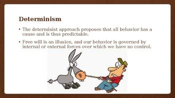 Free Will vs. Determinism-An Introduction by Miss K | TPT