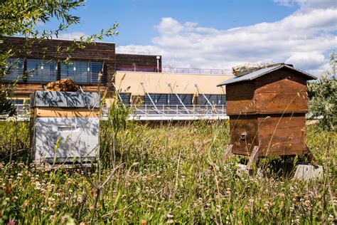 Melvita: When Nature Becomes Essence – The Italian Rêve