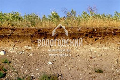 Виды грунтов | ООО «Вологодский Северный Лес»