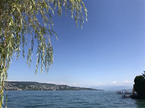 Zurich lake outside the city is much more relaxing! : r/zurich
