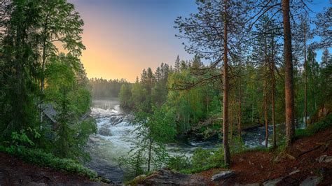 Wallpaper Finland, Forest, Trees, River, Nature Landscape - Finland ...