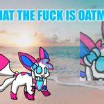 What The Fuck Is Oatmeal Sylceon Meme Generator Imgflip