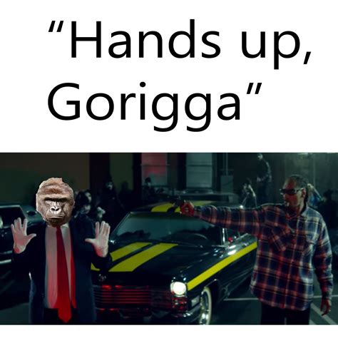 The when was harambe killed anniversary brings back viral memories 7