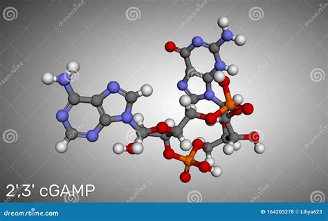 C Gmp Amp 2`3` Cgamp Cyclic Guanosine Monophosphate Adenosine