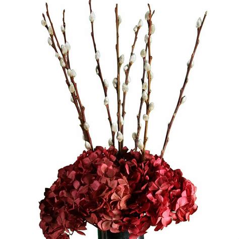 The Nettleton Hollow Blog Pussy Willow Tips Ideal For Smaller Vases And Centerpieces
