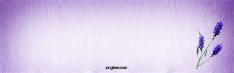 Purple Lavender Background Texture, Wallpaper, Purple, Lavender ...