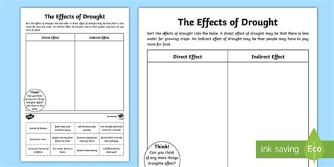 Effects Of Drought Worksheet Worksheet Teacher Made