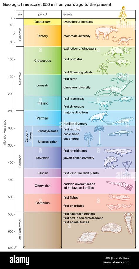 Geologic time chart hi-res stock photography and images - Alamy