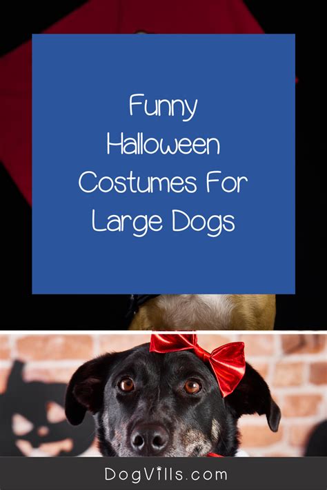 5 great funny halloween costumes for large dogs – Artofit