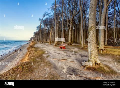 Panorama Steilküste Ostsee Nienhagen Stock Photo Alamy