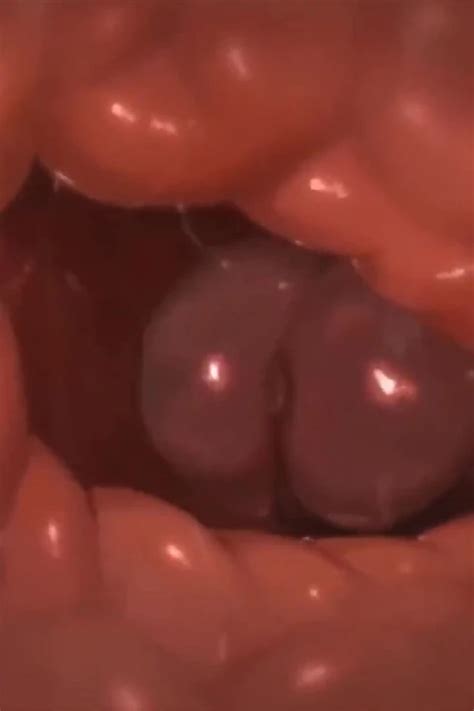 Tasque Manager X Swatchling Cartoon Cartoon Porn Feat Velvixian By