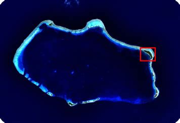 Bikini Atoll Science And The Sea