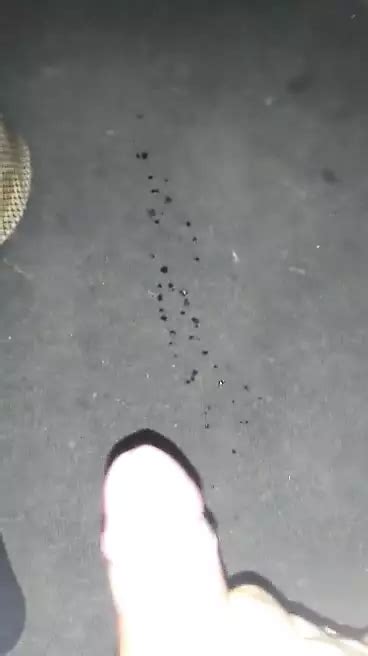 Prskanje Free Gay Solo Reality Porn Video 97 XHamster