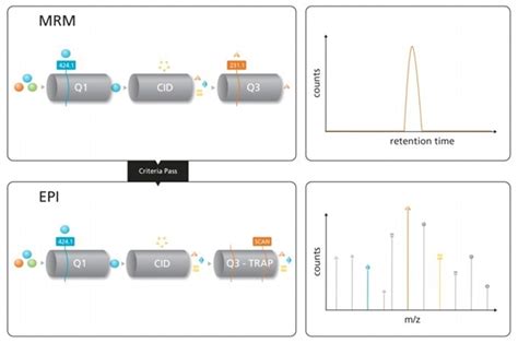 The Quadrupole Trap Mass Spectrometry Creative Proteomics