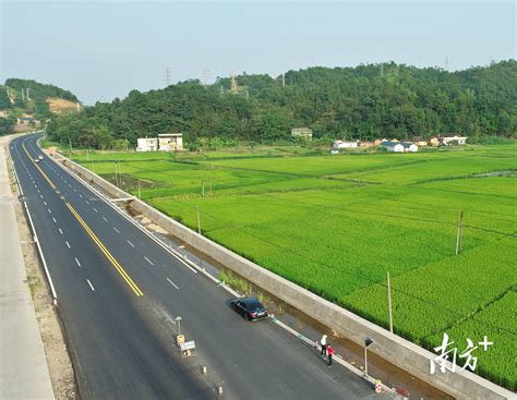 唤醒沉睡地 激活振兴春水 平远县石正镇：昔日撂荒地 今日沃野丰 种植 耕作 沈屋