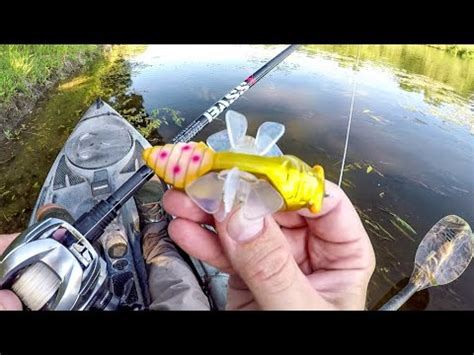 Does This Crazy Lure Really Catch Fish? – Armory Daily