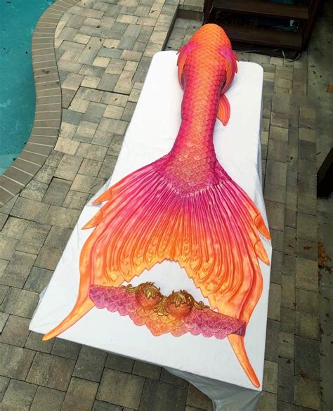 Pin By Melissa Antonucci On Antonucci Mermaid Tail Designs Silicone