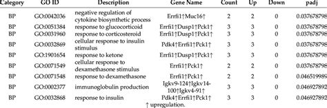 List Of GO Terms Enriched With Splenic DEGs Padj