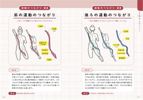 【画像】デスクワークで肩が凝る人に最適なストレッチとは？ 筋肉同士の繋がりをイラストで学べば、肩こりの解消やケガ防止ができる 78