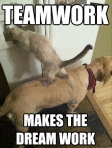 Teamwork GIFs | Tenor