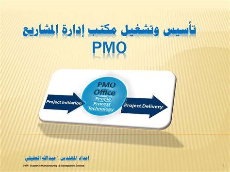 Project Management Office Structure