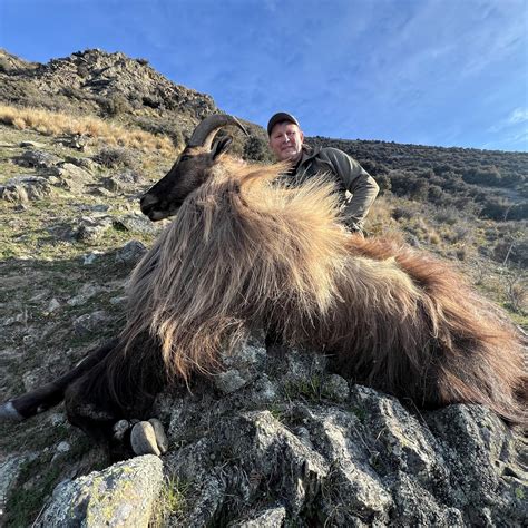 Mears Whitetail Forms - Mears Whitetail Forms FSR-19, full sneak, right