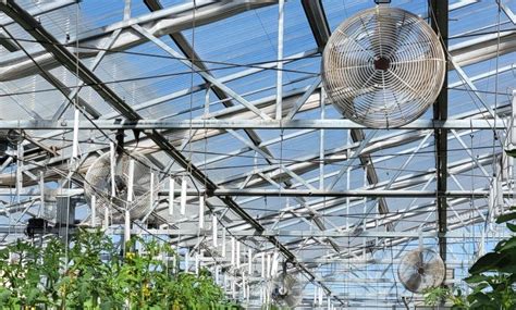 Smart Greenhouses Revolutionizing Ag With Technology Ceag World
