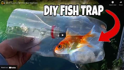 BEST PLASTIC BOTTLE FISH TRAP DIY! — Small Water Sportsman