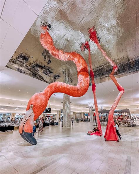 Most Instagrammable Spots In Tampa Florida — This Life Of Travel