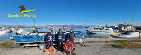 Sequestrati Quintali Di Sardella Nel Porto Di Corigliano Rossano Le