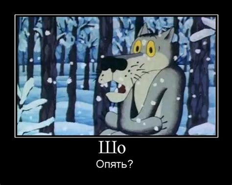 Волк из мультфильма шо опять картинка