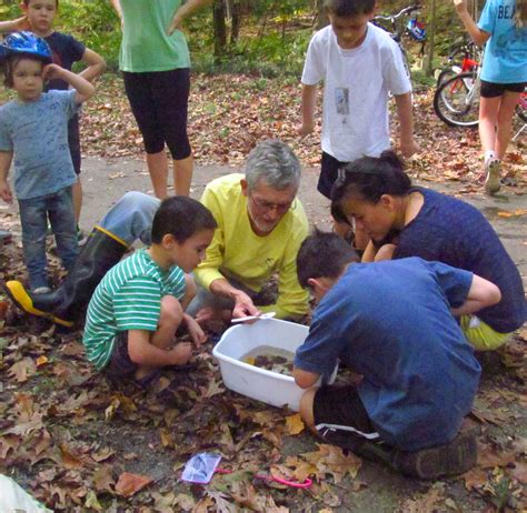 Creek Critters - Discover Who Lives in the Creek — Little Falls