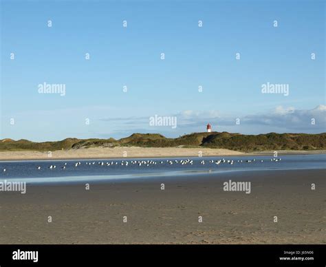 Blue Beach Seaside The Beach Seashore Dunes Firmament Sky Water