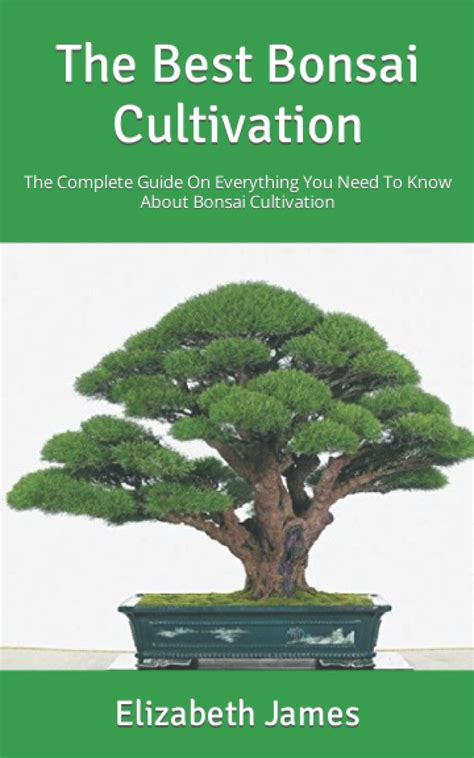 The Best Bonsai Cultivation The Complete Guide On Everything You Need