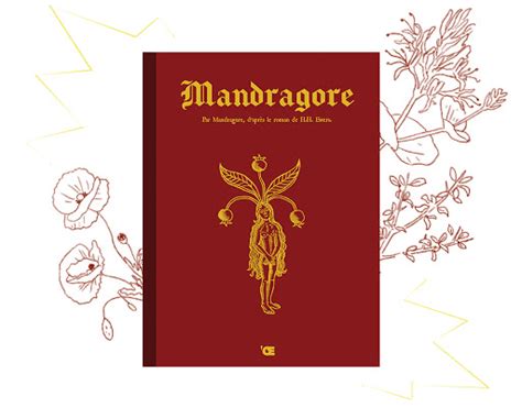 P TIt Focus L Autrice De Les P Tits Fous De Lecture