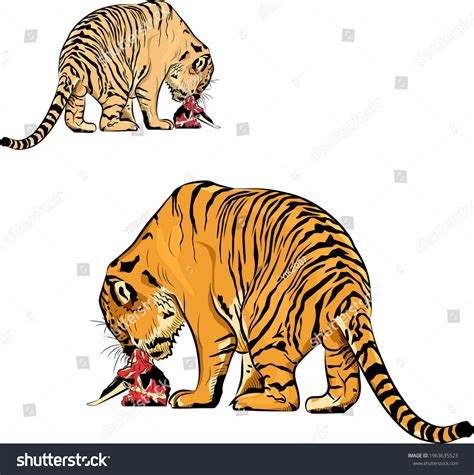 White Tiger Eating Meat