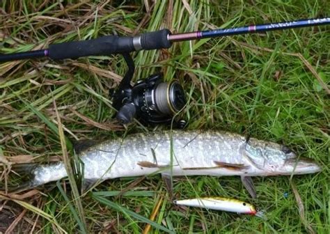 Рыбалка на щуку: всё, что важно знать