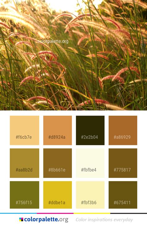 Plant Vegetation Grass Color Palette