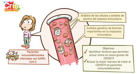 Estudio Del Sistema Inmunitario Con C Ncer Y Covid Cris Cancer