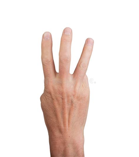 Gesture Number Showing Three Stock Photos Free Royalty Free