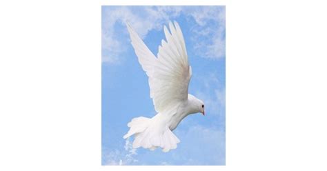 Judith Pritchett Obituary 1955 2025 Cincinnati Oh Link Nky