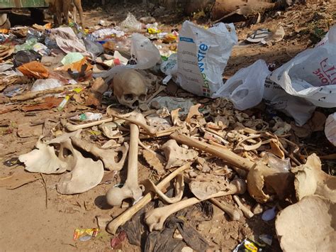 Skeletal remains found dumped in dustbin - OrissaPOST