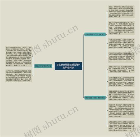 与富豪女结婚签婚前财产协议起纠纷思维导图编号p6282890 Treemind树图