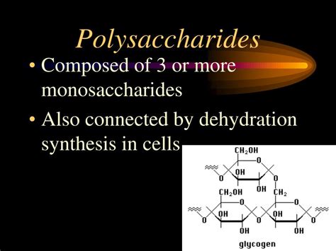 Polysaccharides Definition