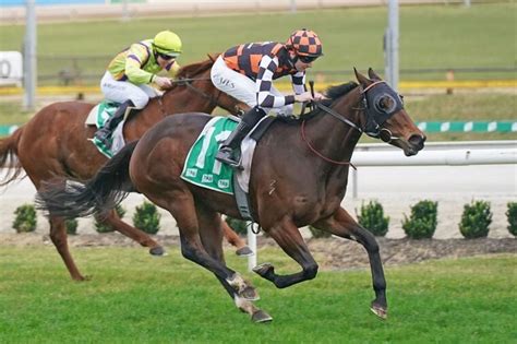 exacta bet   place  bet win racenet