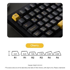 Akko S RGB trådbundet mekaniskt gaming tangentbord packningsmontering Hot Swappable