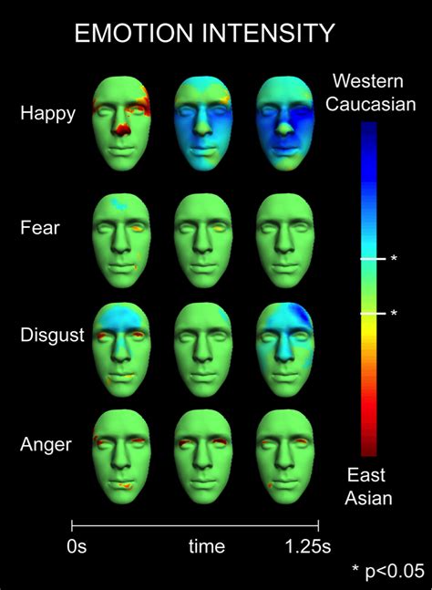 understanding  face   dynamic communication tool emotion researcher