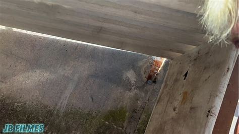 Homeless Creampie Search Xvideos