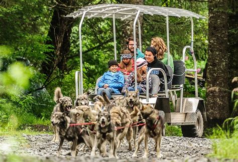 Turning Heads Kennel Tour & Dog Sled Ride - Seward | Project Expedition