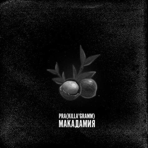 Макадамия - YouTube Music